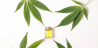 cannabis-leaves-cbd-oil-hemp