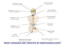 endocrine disorders- dr anirban