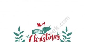 Merry-Christmas-Logo