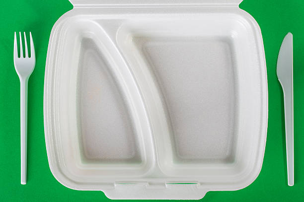 purpose of the disposable Lunch box