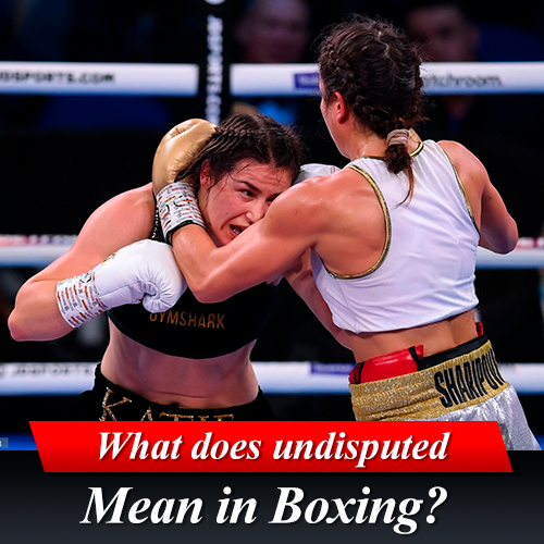 Undisputed mean in boxing