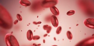 How Anemia can be Risky for Life