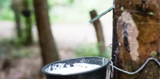 Natural Rubber Industry Report